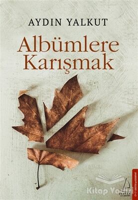 Albümlere Karışmak - 1