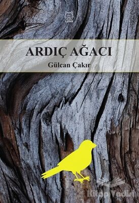 Ardıç Ağacı - 1