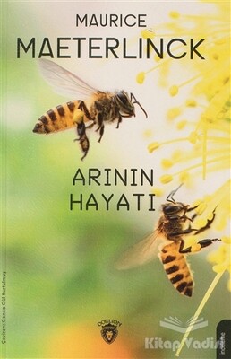 Arının Hayatı - Dorlion Yayınları