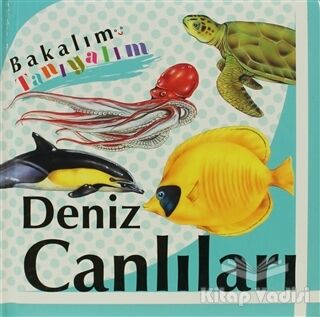 Bakalım Tanıyalım: Deniz Canlıları - 1