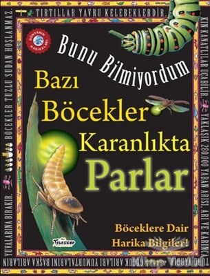 Bazı Böcekler Karanlıkta Parlar - Bunu Bilmiyordum - Teleskop