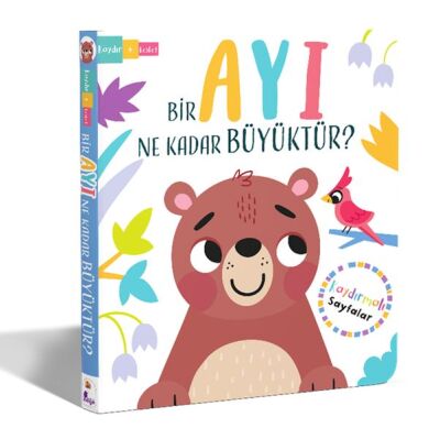 Bir Ayı Ne Kadar Büyüktür? – Kaydır + Keşfet - 1