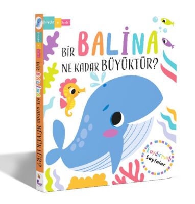 Bir Balina Ne Kadar Büyüktür? – Kaydır + Keşfet - 1