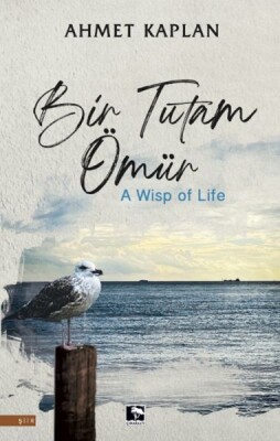 Bir Tutam Ömür - Çınaraltı Yayınları