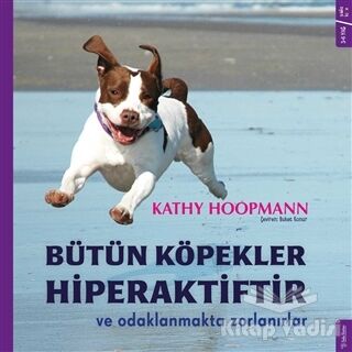 Bütün Köpekler Hiperaktiftir ve Odaklanmakta Zorlanırlar - 1