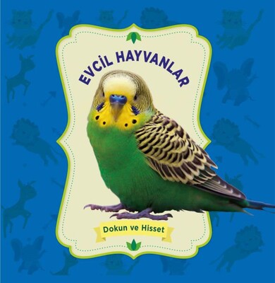 Evcil Hayvanlar - Dokun ve Hisset - 0-6 Yaş Yayınları