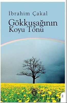 Gökkuşağının Koyu Tonu - Dorlion Yayınları