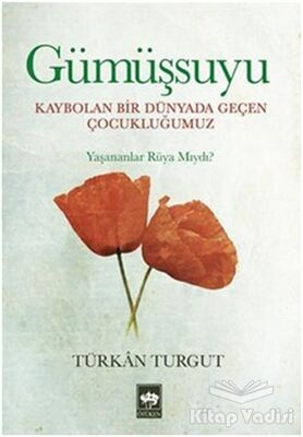 Gümüşsuyu - 1