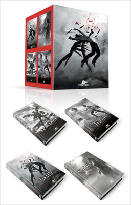 Hush Hush Serisi Seti (4 Kitap) - 1