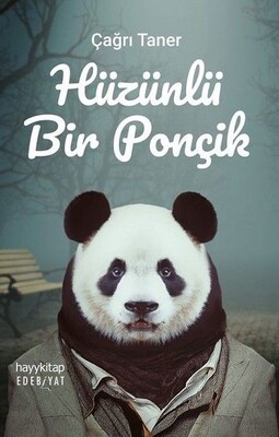 Hüzünlü Bir Ponçik - Hayy Kitap