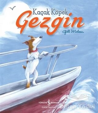 Kaçak Köpek Gezgin - 1