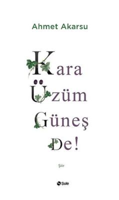 Kara Üzüm Güneş De - 1