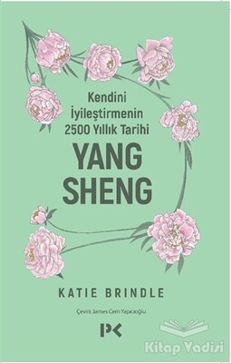 Kendini İyileştirmenin 2500 Yıllık Tarihi: Yang Sheng - Profil Kitap