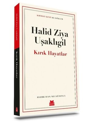 Kırık Hayatlar - Kırmızı Kedi Yayınevi