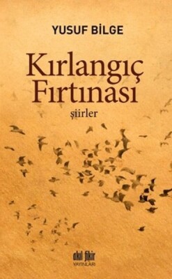 Kırlangıç Fırtınası - Akıl Fikir Yayınları