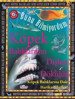 Köpek Balıklarının Dişleri Dökülür - Bunu Bilmiyordum - Teleskop