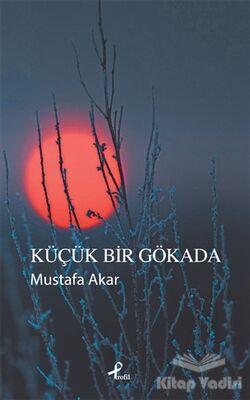 Küçük Bir Gökada - 1