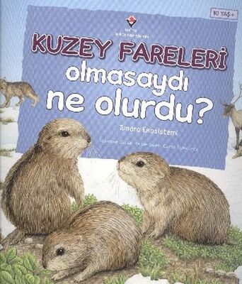 Kuzey Fareleri Olmasaydı Ne Olurdu? - 1