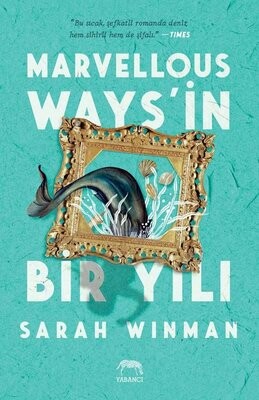 Marvellous Ways’in Bir Yılı - Yabancı Yayınları