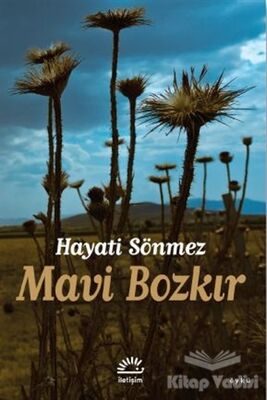 Mavi Bozkır - 1