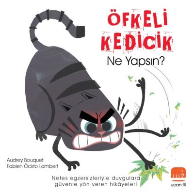 Öfkeli Kedicik Ne Yapsın? - 1