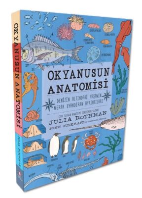 Okyanusun Anatomisi - 1