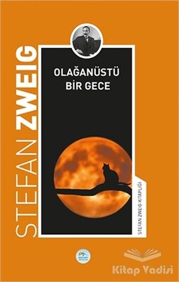 Olağanüstü Bir Gece - Maviçatı Yayınları