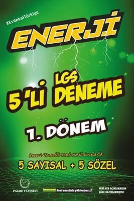 Palme Enerji LGS 1. Dönem 5'li Deneme - 1