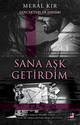  Sana Aşk Getirdim - 1