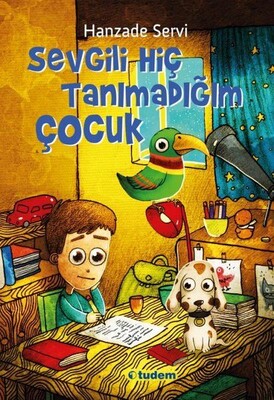 Sevgili Hiç Tanımadığım Çocuk - Tudem Yayınları