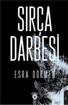 Sırça Darbesi - Dorlion Yayınları