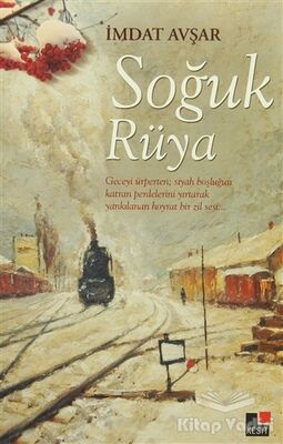 Soğuk Rüya - 1