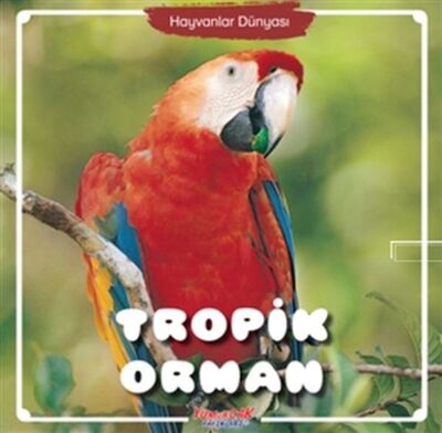 Tropik Orman - Hayvanlar Dünyası - 1