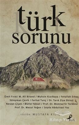 Türk Sorunu - 1