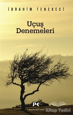 Uçuş Denemeleri - 2