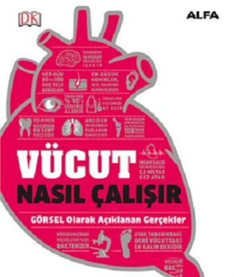 Vücut Nasıl Çalışır - Alfa Yayınları