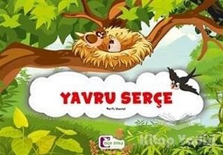 Yavru Serçe - 1